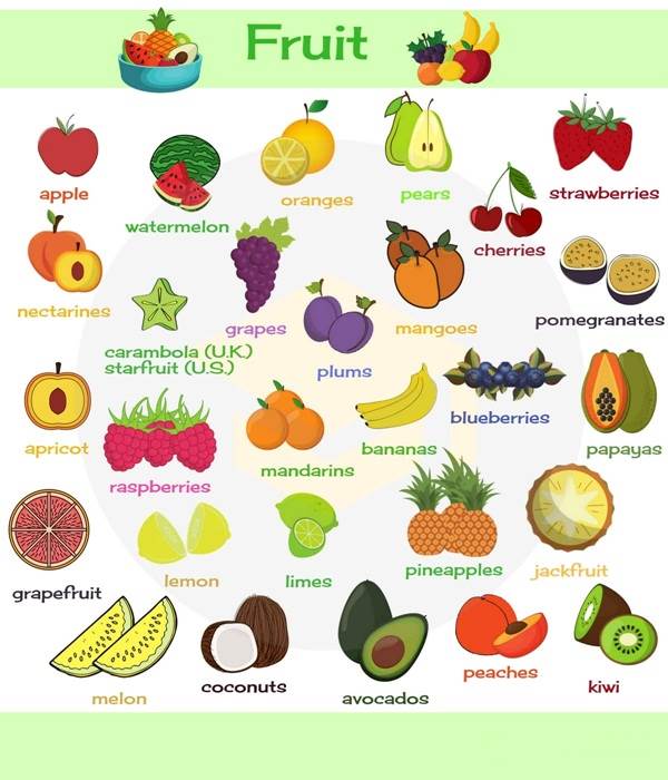 تحقیق در مورد میوه ها به زبان انگلیسی