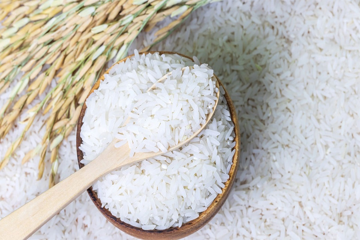  بهترین برنج ایرانی چه برنجی است؟ راه های تشخیص برنج مرغوب