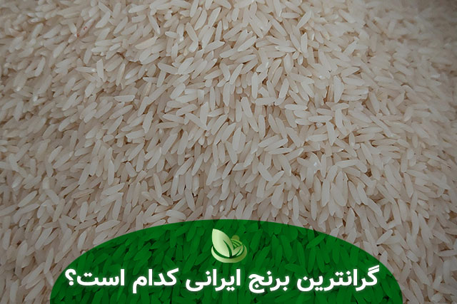  گران‌ترین برنج ایرانی کدام اس