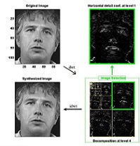 شناسایی چهره با استفاده از الگوریتم کلونی مورچگان