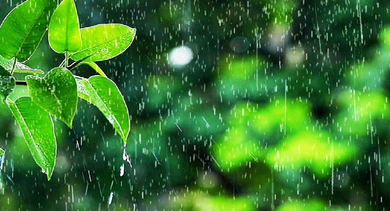 10 حقیقت عجیب درباره باران