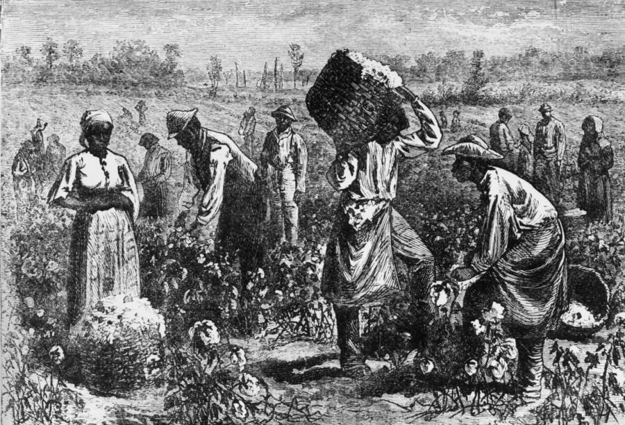 برده داری چگونه در آمریکا لغو شد؟