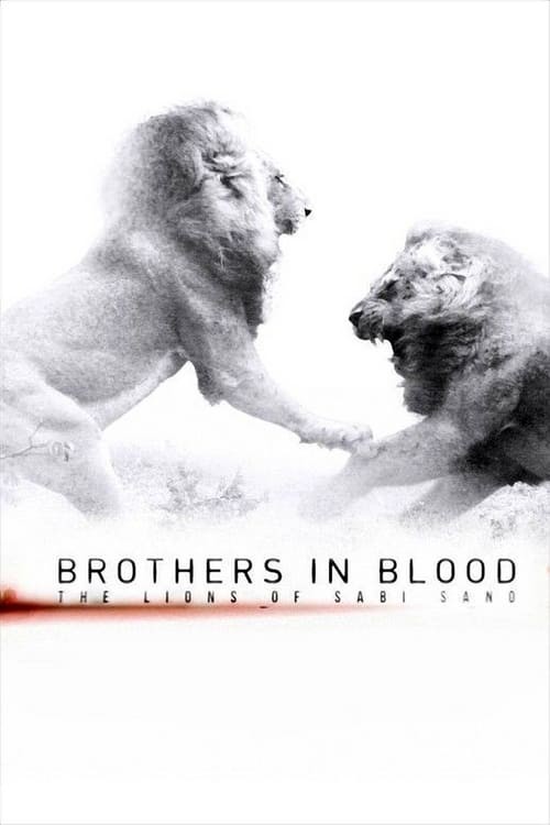 دانلود مستند برادران تنی Brothers in Blood: The Lions of Sabi Sand 2015