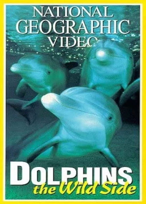 دانلود مستند دلفین های وحشی Dolphins: The Wild Side 1999