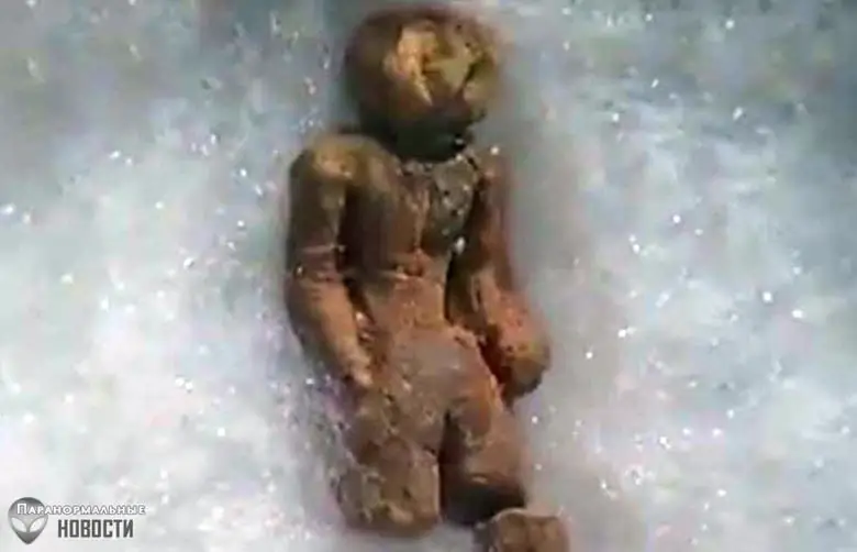 عروسک عجیب "نامپا" که 2 میلیون سال پیش ساخته شده