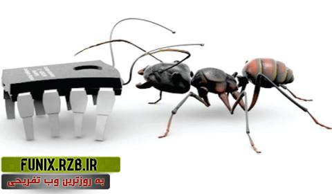 مورچه ها ارتش طبیعت اند! + فیلم