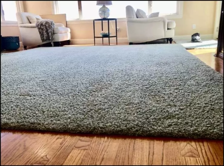 https://rozup.ir/view/3777852/3%20simple%20ways%20to%20remove%20black%20mold%20from%20the%20carpet-03.webp