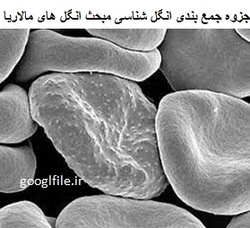 دریافت فایل جزوه جمع بندی انگل شناسی مبحث انگل ھای مالاریا علوم پزشکی تهران pdf