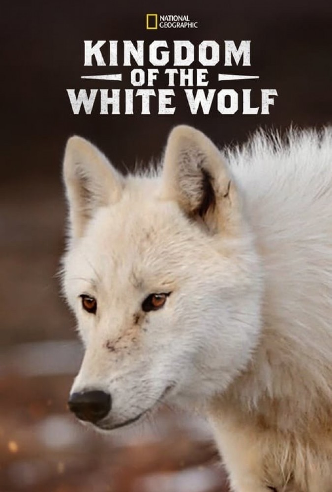 دانلود مستند سریالی قلمروی گرگ سفید Kingdom of the White Wolf 2019