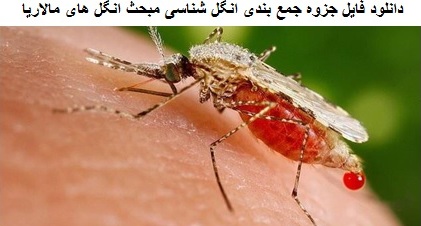 دانلود جزوه جمع بندی انگل شناسی مبحث انگل ھای مالاریا دکتر ناطق پور علوم پزشکی تهران