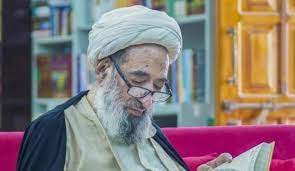 شیخ محسن علی نجفی در گذشت | شیخ محسن علی نجفی در سن 84 سالگی - ایونا نیوز