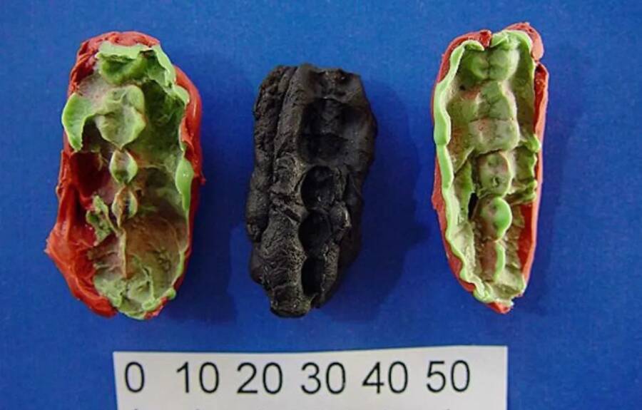 آدامس 10 هزار ساله در رژیم غذایی نوجوانان عصر حجر 