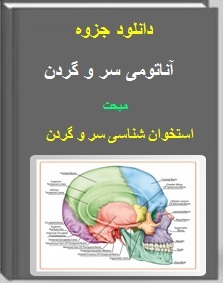 دانلود pdf جزوه استخوان شناسی و آناتومی سر و گردن دکتر کاشانی