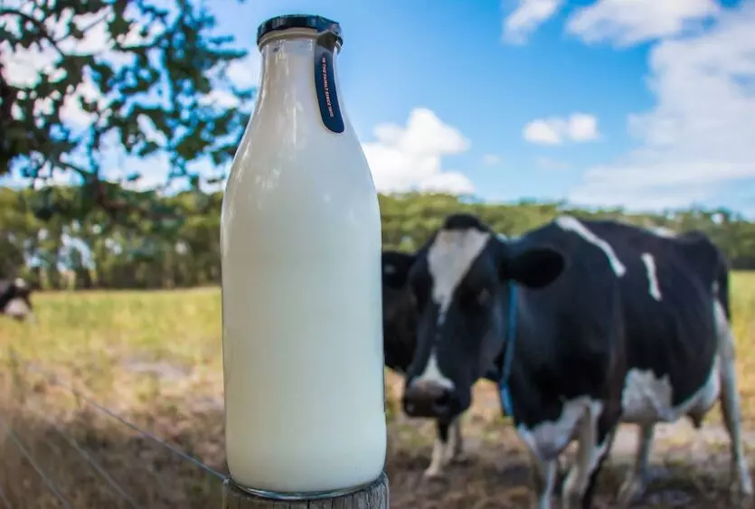 آیا میدانید در بهمن ماه سال ۱۴۰۲، افزایش تولید شیر کل گله در شرکت ملارد شیر نسبت به دوره مشابه سال گذشته به میزان 6.3 درصد بوده است