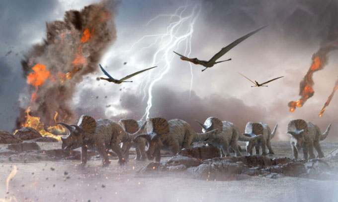 چرا وقتی شهاب سنگ دایناسورها را از بین برد، سوسک ها زنده ماندند؟