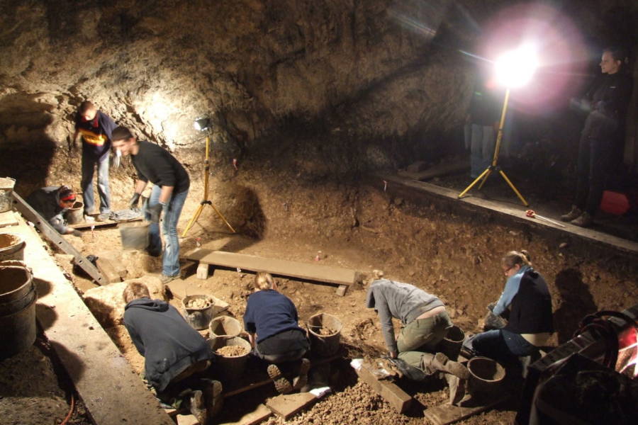 استخوان های 115000 ساله نشان داد کودک نئاندرتال توسط پرنده ماقبل تاریخ خورده شده
