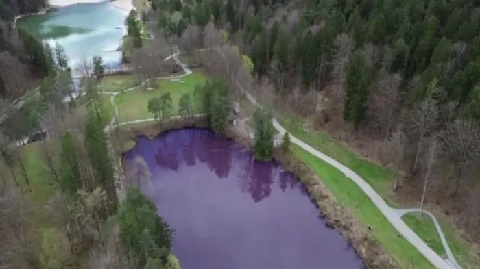 دریاچه عجیب و بنفش رنگ در آلمان