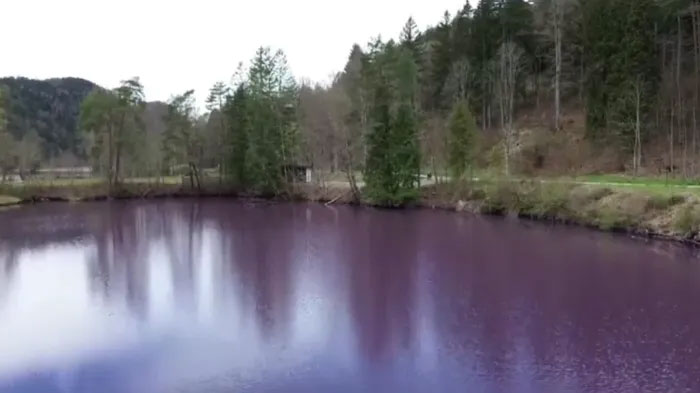 دریاچه عجیب و بنفش رنگ در آلمان
