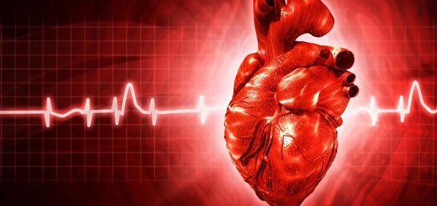 تشخیص ژن های مهم در التیام آسیب های قلبی