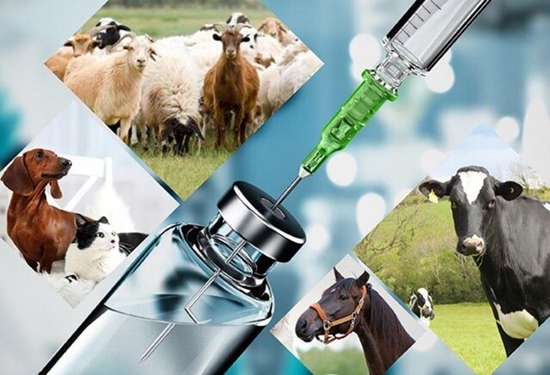 نقش مهم نظارت پس از عرضه داروها در بهبود سلامت حیوانات و کیفیت محصولات دامی
