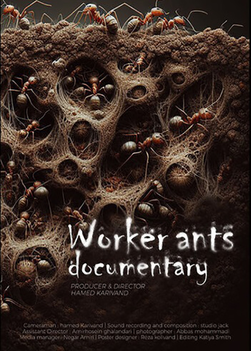 دانلود مستند مورچه ها
