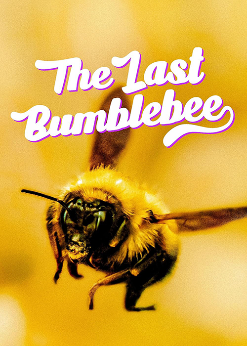 دانلود مستند آخرین زنبور عسل The Last Bumblebee 2024