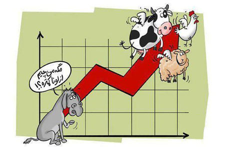 کاریکاتور افزایش قیمت کالا