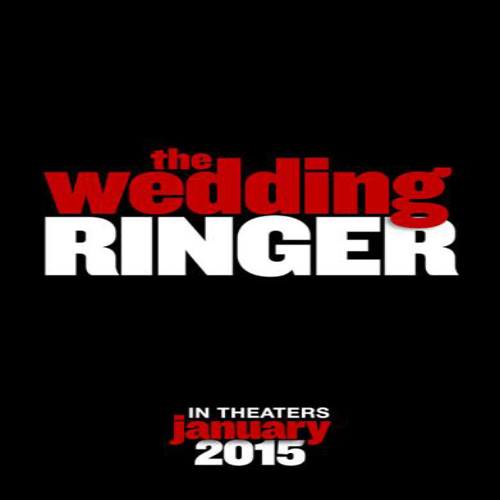 دانلود فیلم The Wedding Ringer 2015 با زبان اصلی