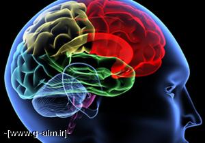  عوامل موثر در ایجاد تومور مغزی