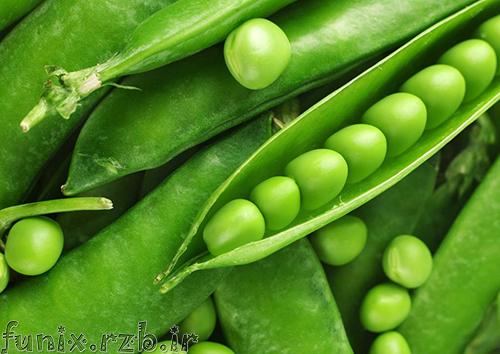 خواص درمانی لوبیا سبز