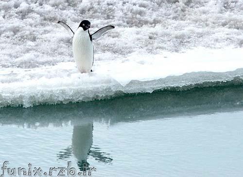 تصاویری از اوضاع احوال فعلی قطب جنوب