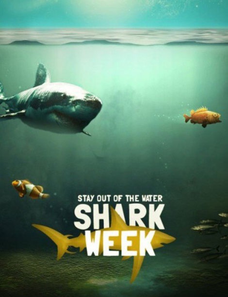 دانلود مستند جدید کوسه های ماکو Shark Week – Monster Mako 2015