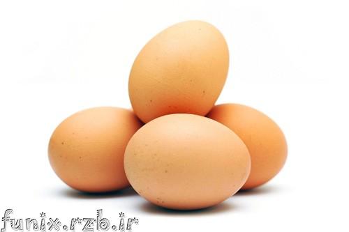 درمان بیماری MS با تخم مرغ فاسد