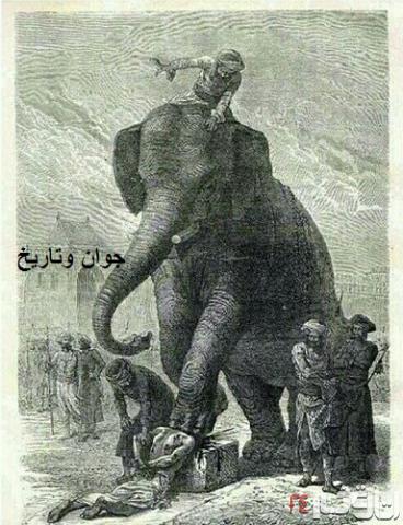 اعدام وحشتناک با فیل! (عکس) 