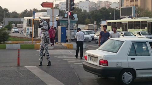گورخری که در شیراز آموزش ترافیک میدهد !