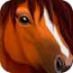 Ultimate Horse Simulator v1  بازی اندروید شبیه ساز