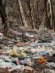 هفت تن زباله فقط در یک قسمت از جنگل مازندران