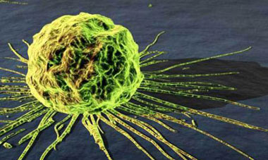 اطلاعاتی جالب درباره سلولهای سرطانی