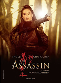 دانلود فیلم قاتل – The Assassin 2015